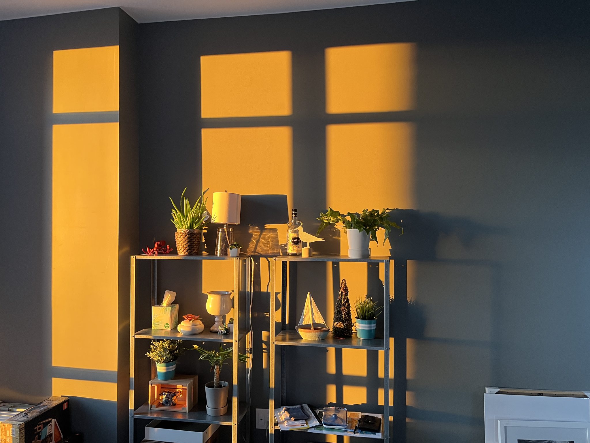 Quiet indoor plant corner in soft light