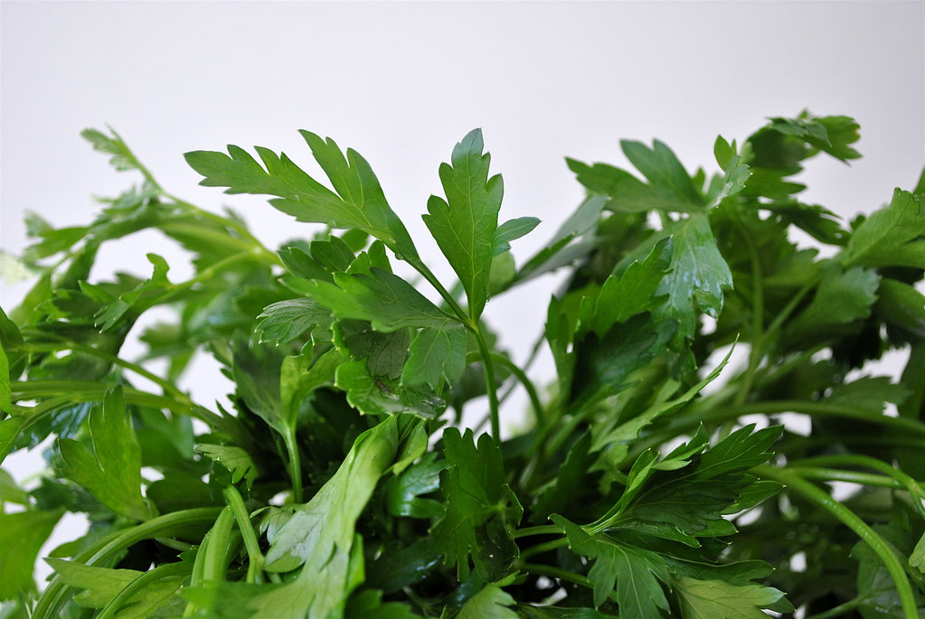 Grocery herbs and greens — start with what you cook, keep pots elevated
