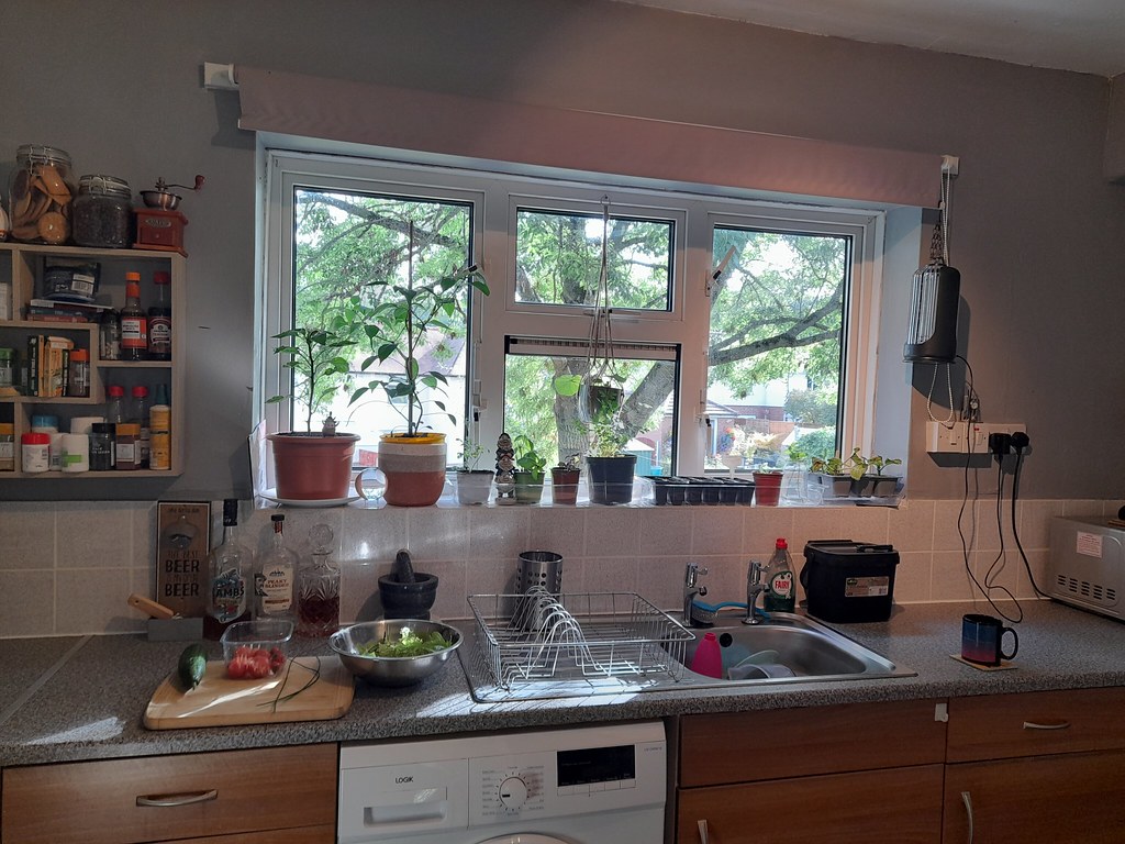 Shelf plants that move without drilling